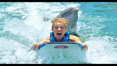 dolphin humping girl|GIRL GETS HUMPED BY DOLPHIN!!! (340)